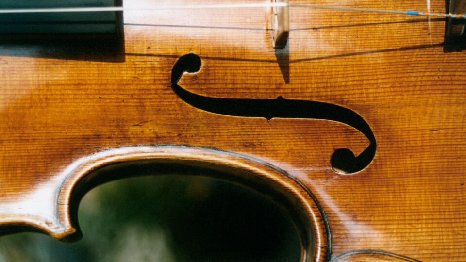 Instrument der Mitte: Die Viola in Solo- und Orchesterwerken