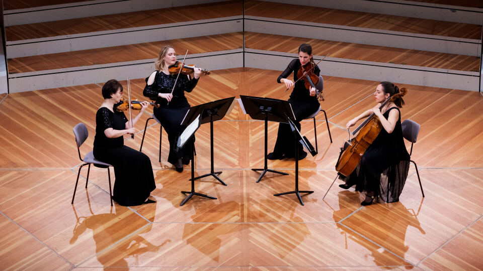 «Beethoven visto de cerca» – Parte 2